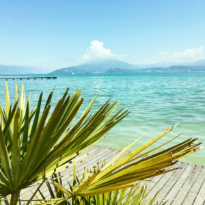 Lake Garda, Province of Trento, Trentino-Alto Adige Region, Italy, lake, water, palm tree Lake Garda, Province of Trento, Trentino-Alto Adige Region, Italy, lake, water, palm tree